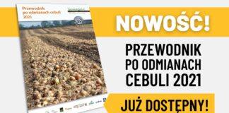 Przewodnik po odmianach cebuli 2021 – za darmo do pobrania
