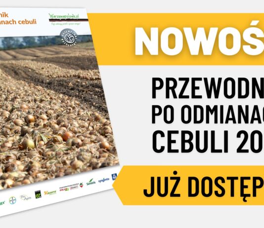Przewodnik po odmianach cebuli 2021 – za darmo do pobrania