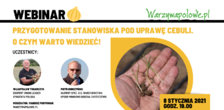Przygotowanie stanowiska pod uprawę cebuli. O czym warto wiedzieć!