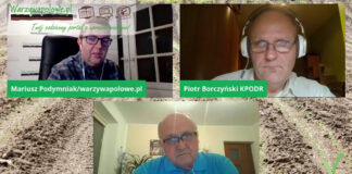 Pytania z zakresu uprawy cebuli