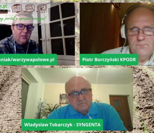 Pytania z zakresu uprawy cebuli