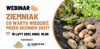 Ziemniak. Co warto wiedzieć przed sezonem?