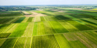 Corteva Agriscience będzie oferować biostymulatory