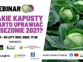 Dwudniowy webinarium na temat kapusty 25-26 luty