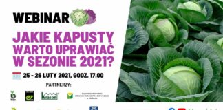 Dwudniowy webinarium na temat kapusty 25-26 luty