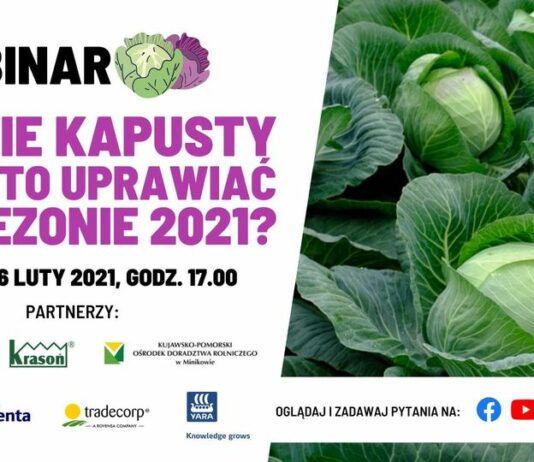Dwudniowy webinarium na temat kapusty 25-26 luty