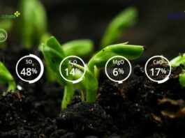 Polysulphate – najlepszy wybór, aby uzyskać wyższe plony