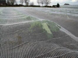 Ochrona przed wiosennymi przymrozkami