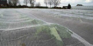Ochrona przed wiosennymi przymrozkami