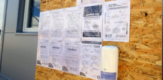 Pracownicy sezonowi (cudzoziemcy) w gospodarstwach. Zalecenia związane z Covid (SARS-CoV-2).