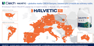 Halvetic – nowy, innowacyjny herbicyd na bazie glifosatu w ofercie CIECH Sarzyna halvetic