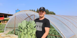 Kapusta i kalarepa w sprzedaży już od 25 kwietnia