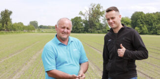 Nawożenie cebuli azotem. Oby nie za późno!