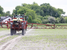 Difenkonazol, fluazynam i azoksystrobina. Które preparaty znikną z rynku?
