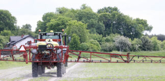 Difenkonazol, fluazynam i azoksystrobina. Które preparaty znikną z rynku?