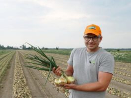Dzień otwarty z cebulą zimującą od Cora Seeds Marcin Wieczyński, Rol-Spec