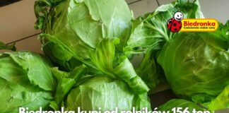 Warzywa zniszczone przez gradobicia znalazły nabywcę