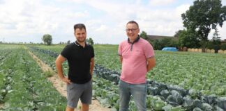 Oferta warzyw dostosowana do wymagań rynku