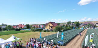 Trzy odmiany pora w Złotnikach