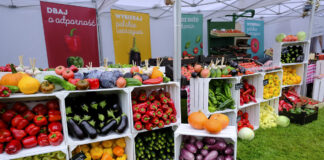 Ruszyła druga edycja kampanii MOC POLSKICH WARZYW