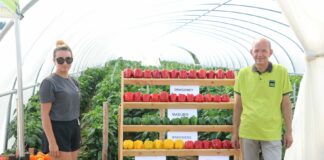 Dzień otwarty papryki – FOTOGALERIA