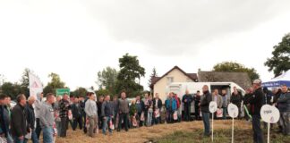 Dzień Ziemniaka w małopolskich Szczytnikach