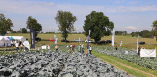 Charsznickie Dni Kapusty 2021