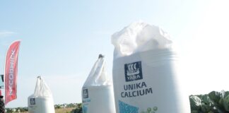 Ważne w nawożeniu kapusty w 2021 roku