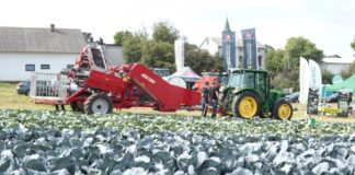 Kombajn do zbioru kapusty na pokazach – Charsznica 2021