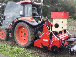 Odkażanie gleby – wapnem, miedzianem, Basamid, nawóz Perlka