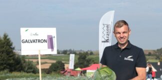 Odmiany kapust na poletkach w Charsznicy z portfolio Seminis