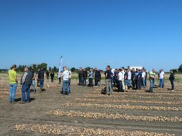Kujawsko-Wielkopolskie dni cebuli – FOTOGALERIA