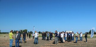 Kujawsko-Wielkopolskie dni cebuli – FOTOGALERIA