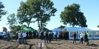 Cebula z włoską energią – FOTOGALERIA