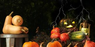 Dynie w promocji na Halloween