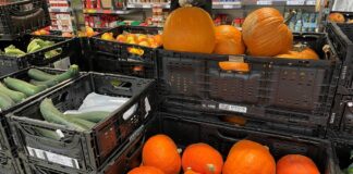 Ile kosztuje dynia? Giełda-supermarket-warzywniak cena dyni za kg 2022 | warzywapolowe