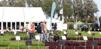 Fields of Innovation 2021 na niderlandzkiej ziemi (Cz. 2)