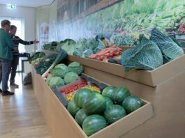 Interesujące odmiany cebuli i innych warzyw z firmy Hazera prezentowane w Holandii