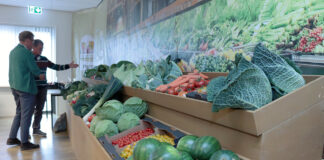 Interesujące odmiany cebuli i innych warzyw z firmy Hazera prezentowane w Holandii