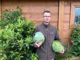 Sezon produkcji kapusty w ocenie plantatora