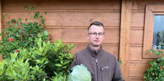 Sezon produkcji kapusty w ocenie plantatora