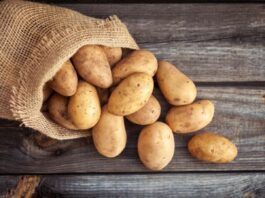 Kondycja rynku owoców i warzyw w USA