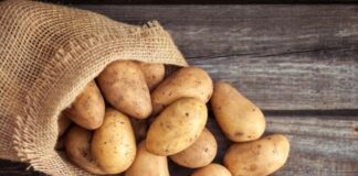 Kondycja rynku owoców i warzyw w USA