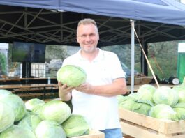 Nowe typy kapust i ich odmiany z Hazery – Charsznica 2021