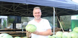 Nowe typy kapust i ich odmiany z Hazery – Charsznica 2021