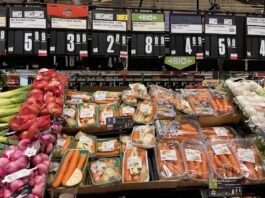 Aktualna migawka cen marchwi. Listopad 2021