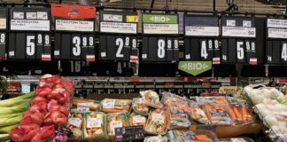 Aktualna migawka cen marchwi. Listopad 2021