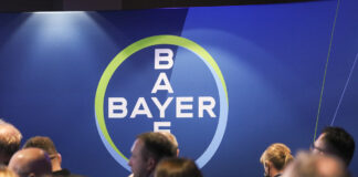 Problemy i wyzwania w ochronie warzyw