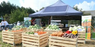 Hazera wdraża nowe projekty i rozwiązania