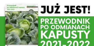 Przewodnik po odmianach kapusty 2021-22